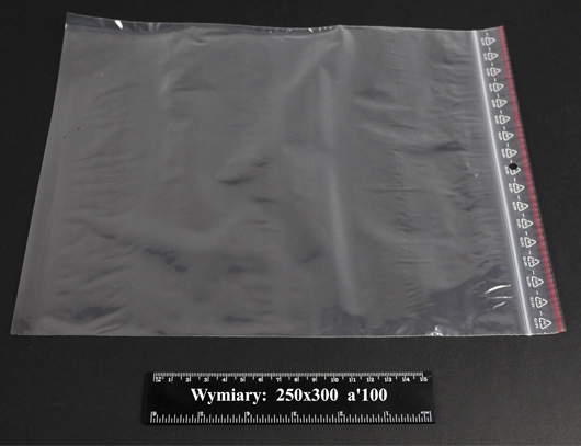 Woreczki strunowe 250x300 A'1000