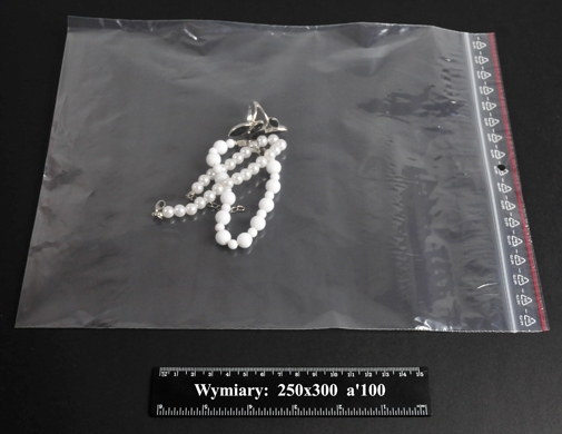 Woreczki strunowe 250x300 A'1000